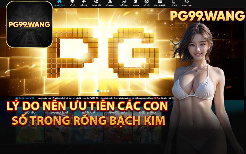 Lý Do Nên Ưu Tiên Các Con Số Trong Rồng Bạch Kim