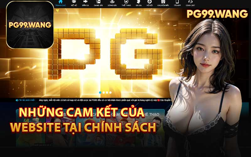 Những Cam Kết Của Website Tại Chính Sách